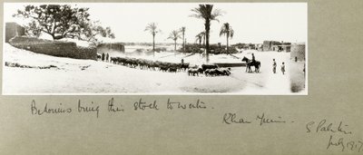 Bedouins bring their stock to water, Khan Yunis, South Palestine, July 1917 by Capt. Arthur Rhodes